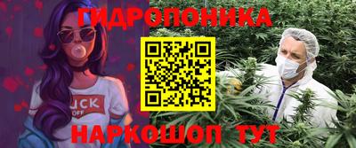 прущие грибы Туймазы