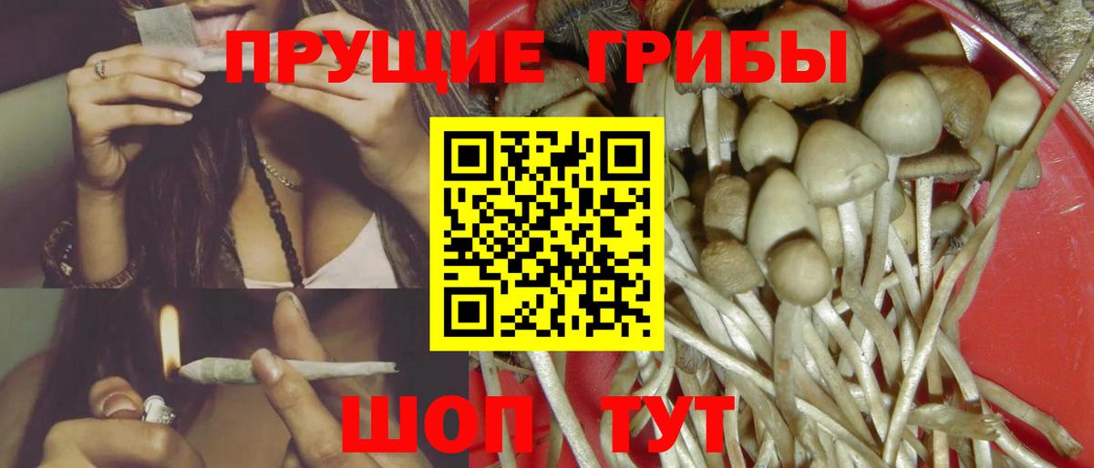Галлюциногенные грибы Magic Shrooms  Вход с VPN  Батайск  Псилоцибиновые грибы прущие грибы 